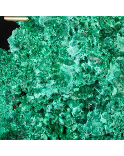 Malachite Fibrosa Vellutata – Campione Straordinario su Base.