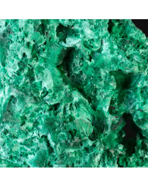 Malachite Fibrosa Vellutata – Campione Straordinario su Base.