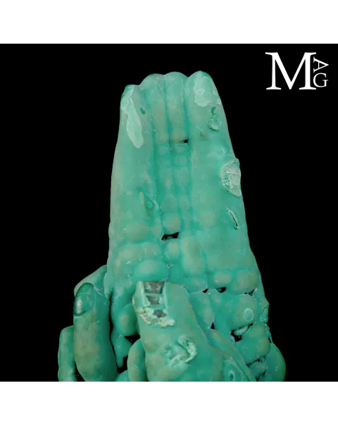 Malachite Stalattitica e Botrioidale del Congo su Base