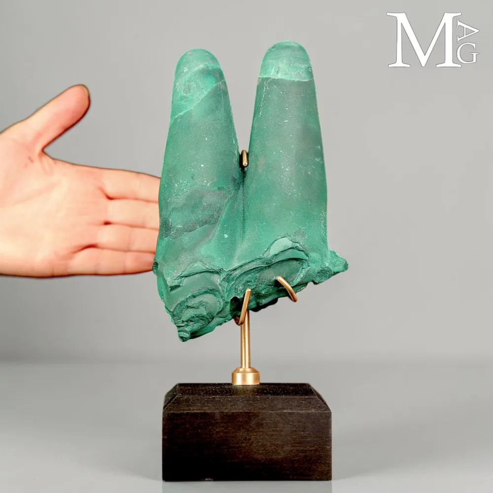 Malachite Stalattitica del Congo, le Due Dita