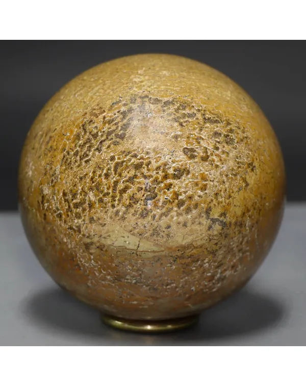 Sfera in Osso di Atlasaurus