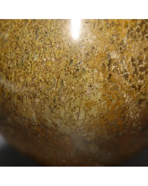Sfera in Osso di Atlasaurus