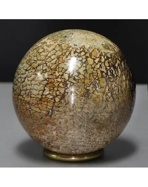 Sfera in Osso di Atlasaurus
