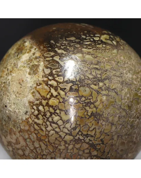 Sfera in Osso di Atlasaurus
