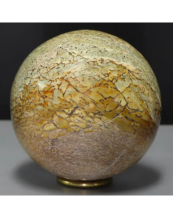 Sfera in Osso di Atlasaurus