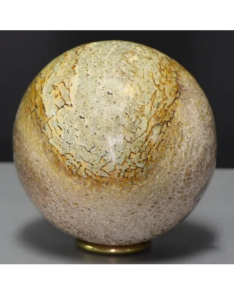 Sfera in Osso di Atlasaurus