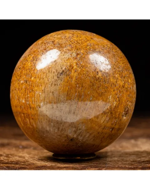 Sfera in Osso di Atlasaurus