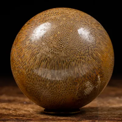 Sfera in Osso di Atlasaurus