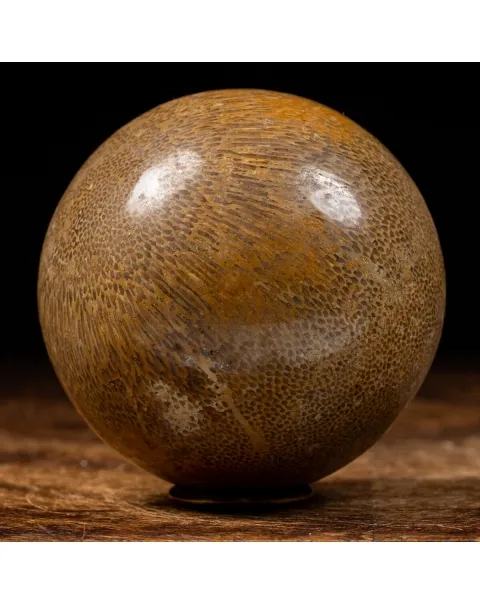 Sfera in Osso di Atlasaurus