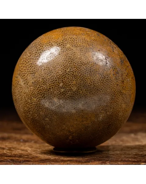 Sfera in Osso di Atlasaurus