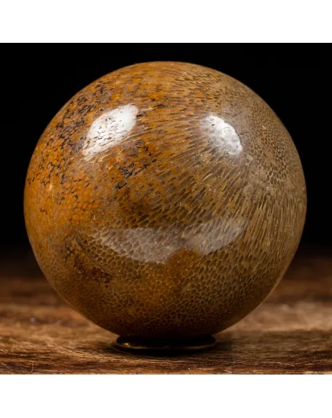 Sfera in Osso di Atlasaurus