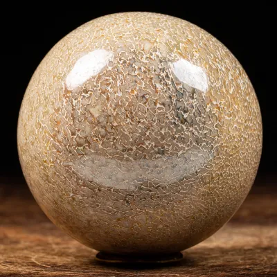 Sfera in Osso di Atlasaurus