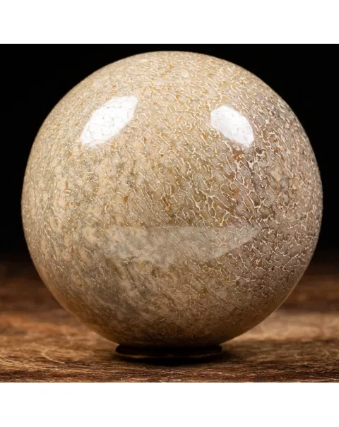Sfera in Osso di Atlasaurus