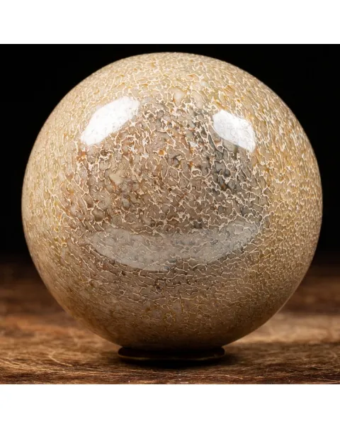 Sfera in Osso di Atlasaurus