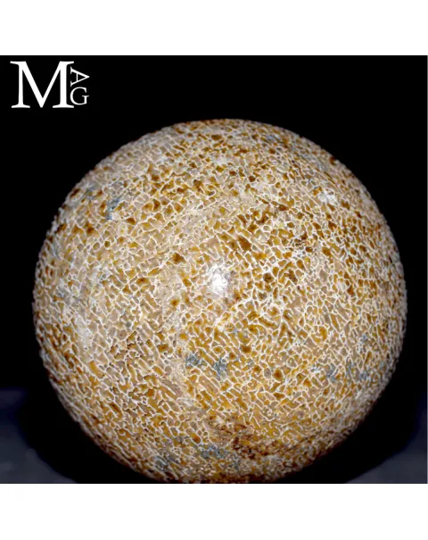 Sfera esclusiva in osso fossile Agatizzato