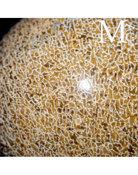 Sfera esclusiva in osso fossile Agatizzato