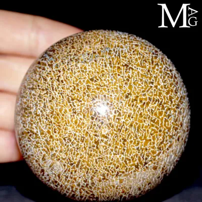Sfera esclusiva in osso fossile Agatizzato