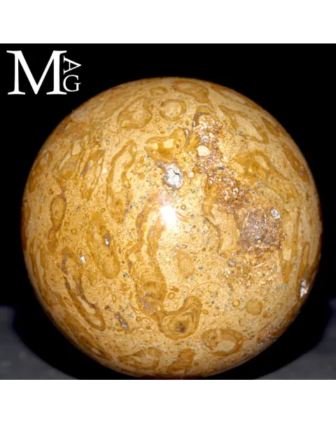 Sfera Fossile in Corallo Madreporico – Madagascar