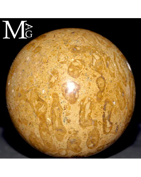 Sfera Fossile in Corallo Madreporico – Madagascar