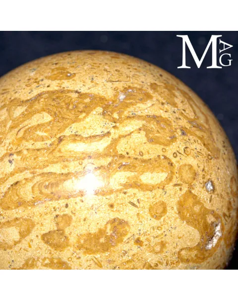 Sfera Fossile in Corallo Madreporico – Madagascar