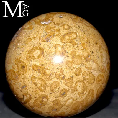 Sfera Fossile in Corallo Madreporico – Madagascar