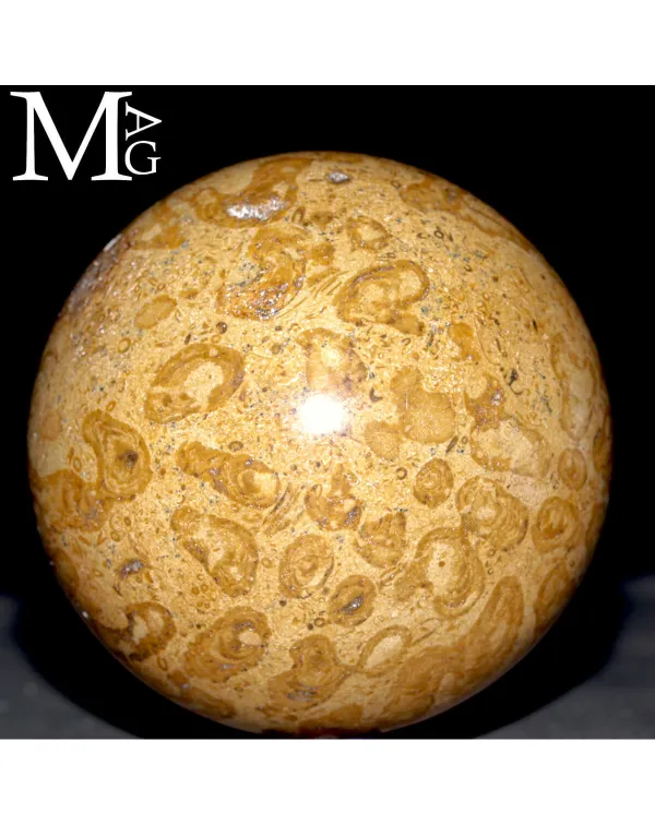 Sfera Fossile in Corallo Madreporico – Madagasca...
