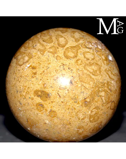 Sfera Fossile in Corallo Madreporico – Madagascar