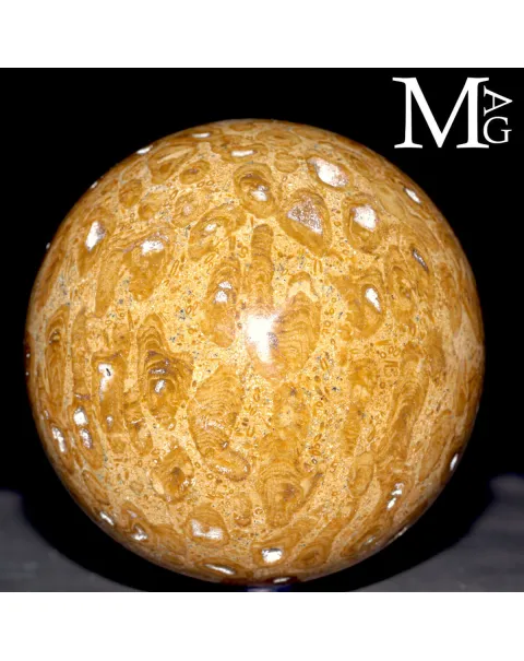 Sfera Fossile in Corallo Madreporico – Madagascar