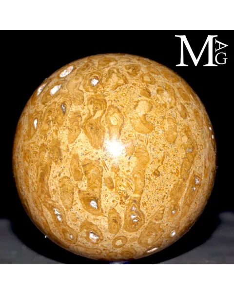 Sfera Fossile in Corallo Madreporico – Madagascar