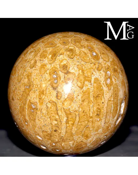 Sfera Fossile in Corallo Madreporico – Madagascar