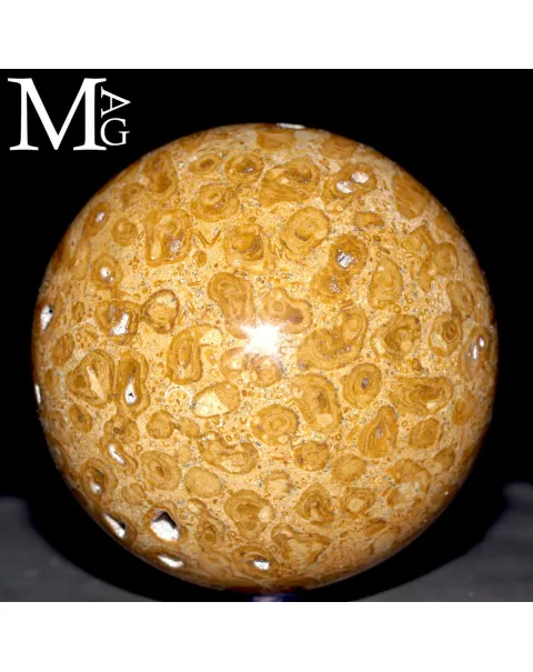 Sfera Fossile in Corallo Madreporico – Madagascar
