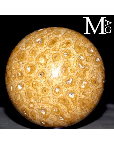 Sfera Fossile in Corallo Madreporico – Madagascar
