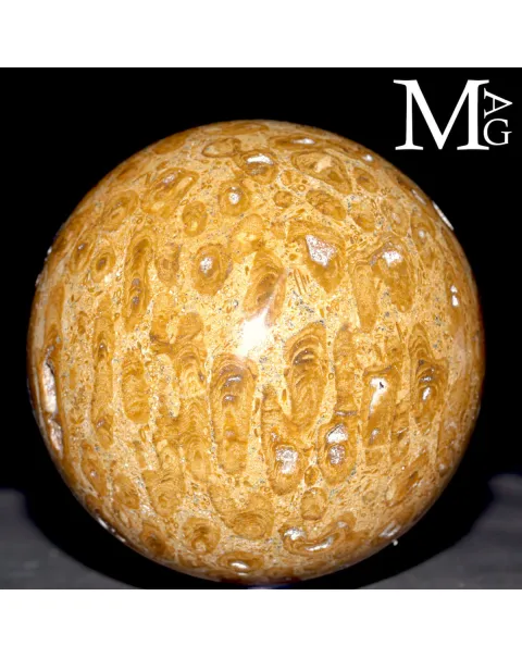 Sfera Fossile in Corallo Madreporico – Madagascar