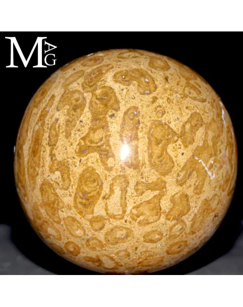 Sfera Fossile in Corallo Madreporico – Madagascar