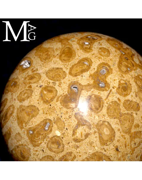 Sfera Fossile in Corallo Madreporico – Madagascar