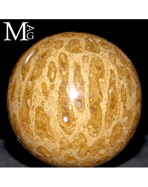 Sfera Fossile in Corallo Madreporico – Madagascar