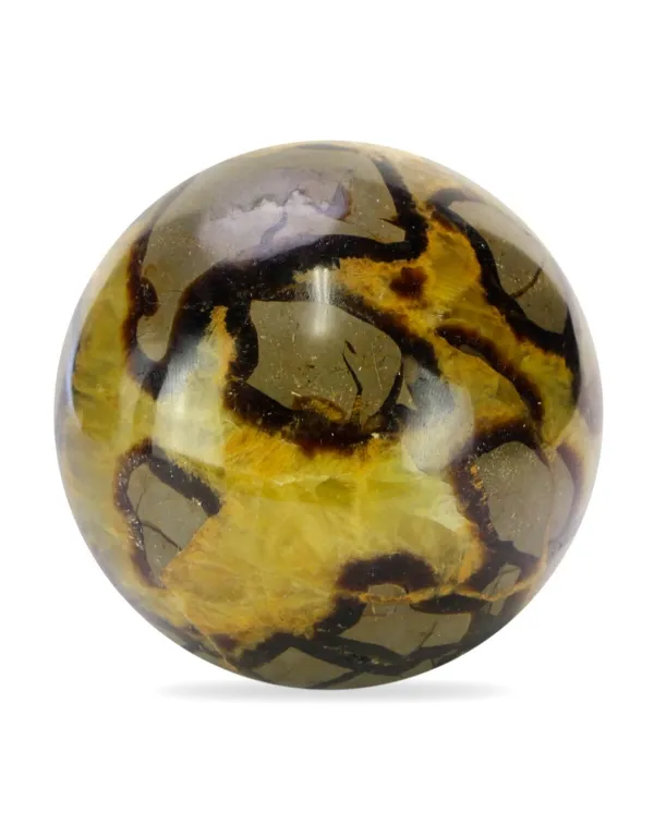 Sfera in Septaria