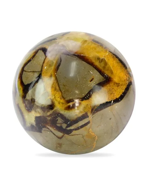 Sfera in Septaria