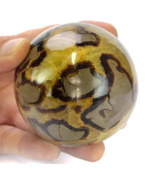 Sfera in Septaria