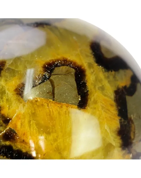 Sfera in Septaria