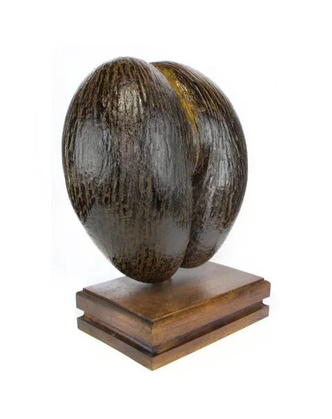 Coco de Mer
