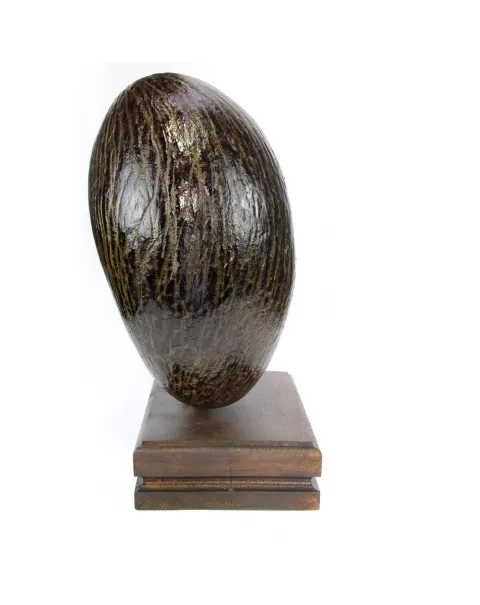 Coco de Mer