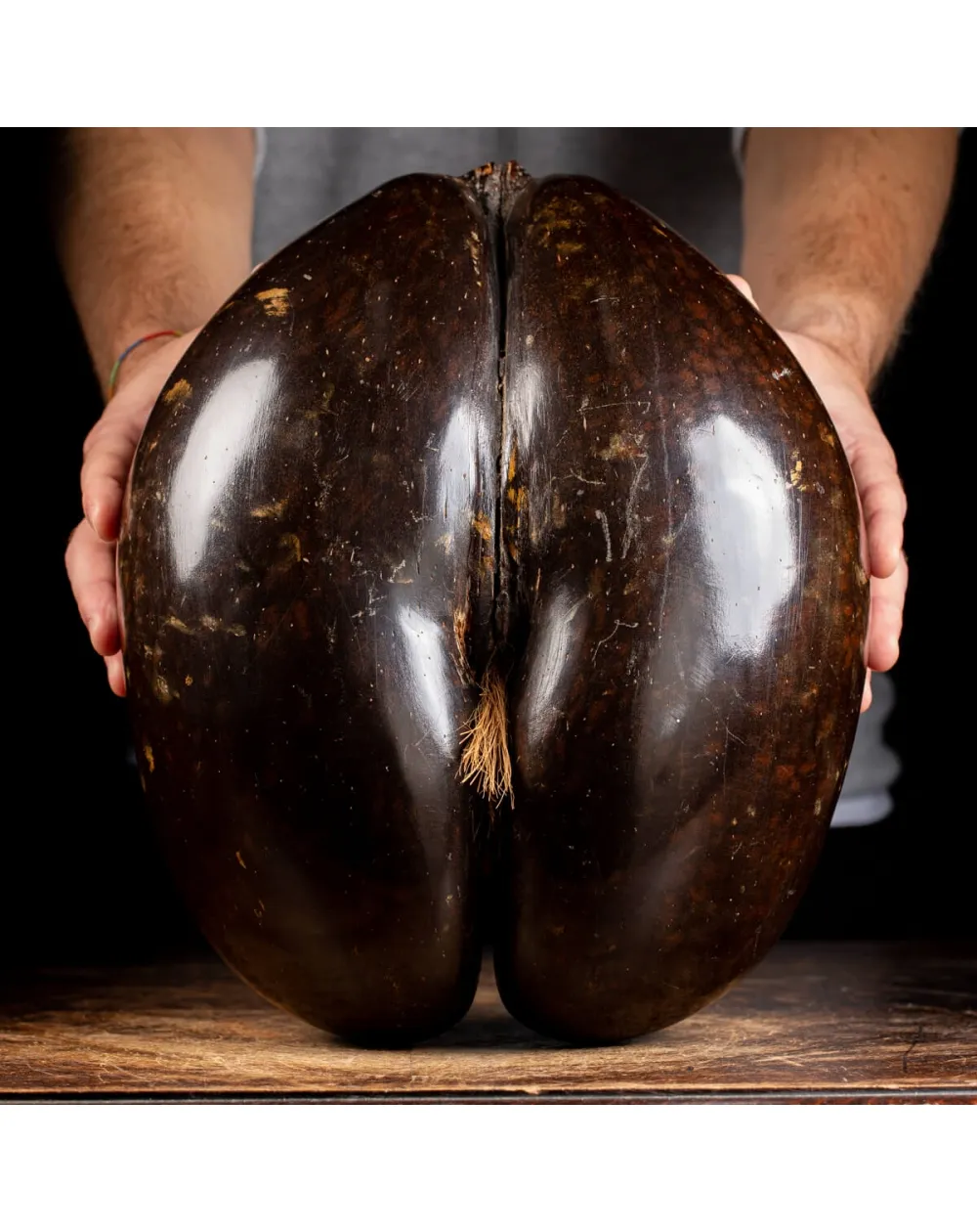 Coco de Mer