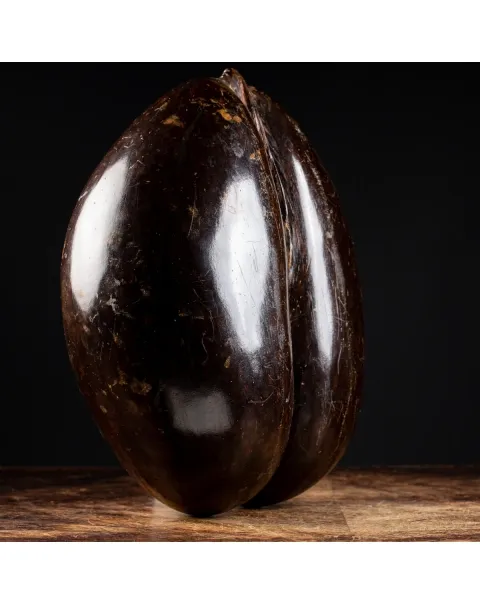 Coco de Mer