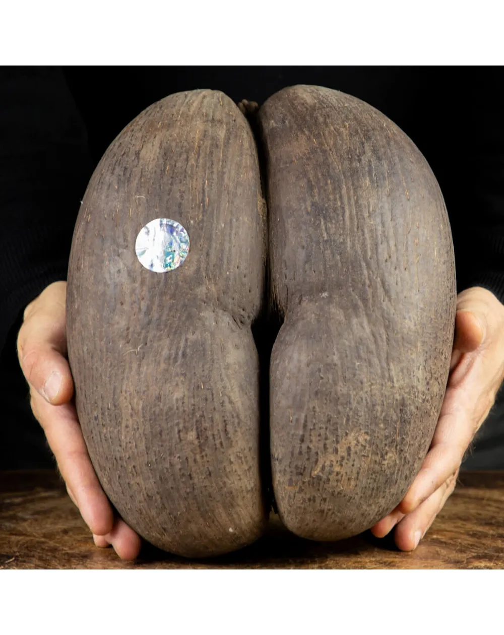 Coco De Mer