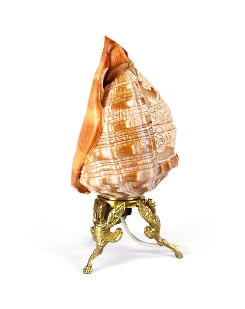 Lampada - Cassis Rufa Cammeo