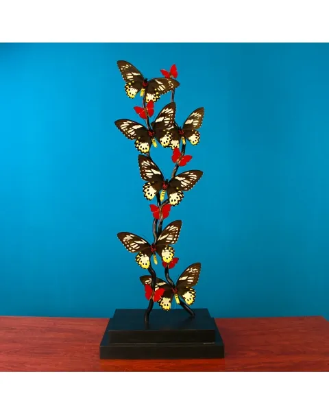 Ornithoptera Priamus e Cymothoe Sangaris Farfalle sotto Teca di Vetro