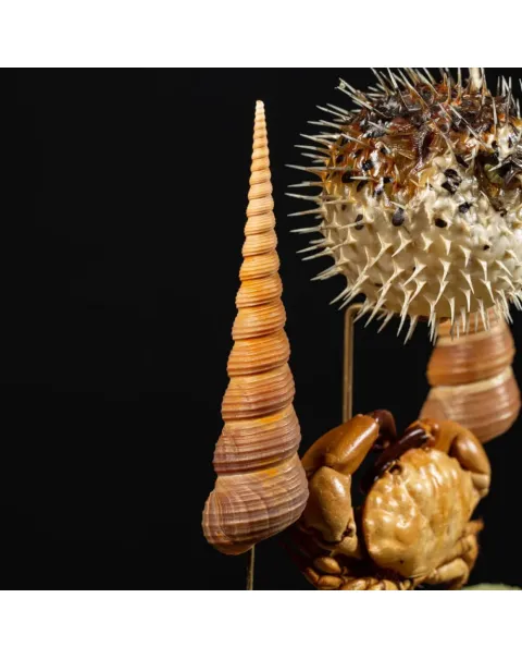 Composizione Marina sotto Campana di Vetro – Stile Wunderkammer.