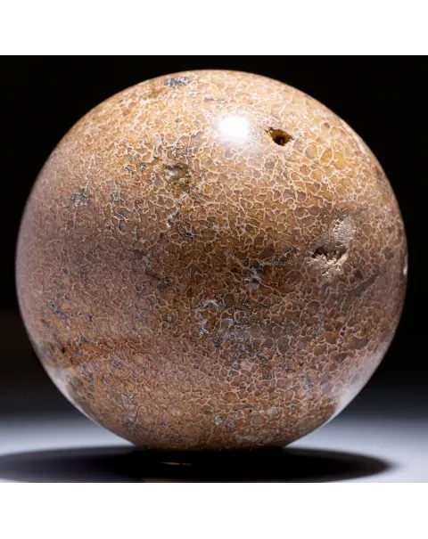Sfera in Osso di Atlasaurus