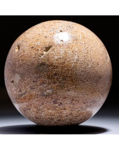Sfera in Osso di Atlasaurus